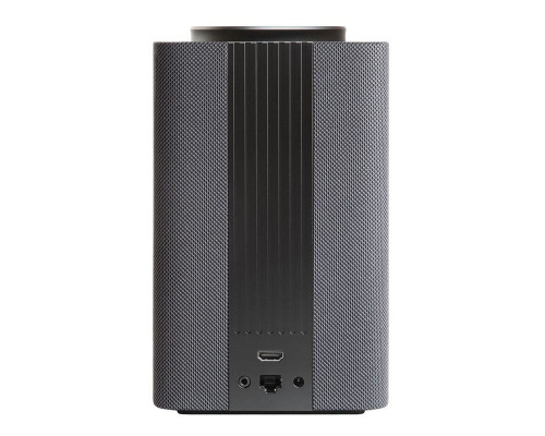 Умная колонка Яндекс Станция Макс Zigbee™ (Black) YNDX-00053