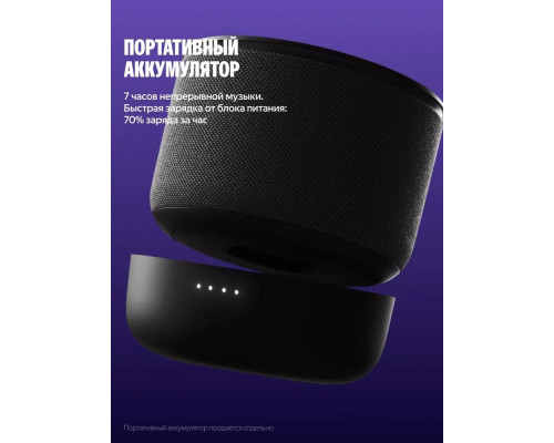 Умная колонка Яндекс Станция Мини 3 Про с Алисой, Zigbee™, 18 Вт, Чёрный