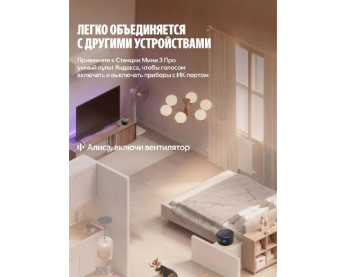 Умная колонка Яндекс Станция Мини 3 Про с Алисой, Zigbee™, 18 Вт, Чёрный