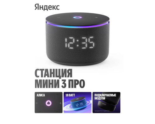 Умная колонка Яндекс Станция Мини 3 Про с Алисой, Zigbee™, 18 Вт, Чёрный